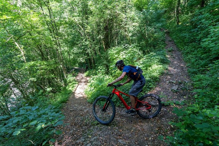 VTT dans la foret de Conliège