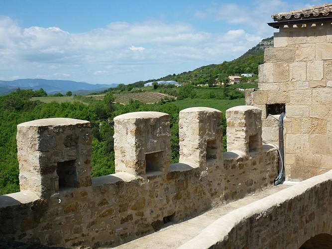 Chateau de Dio et Valquieres
