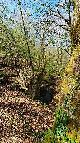 en chemin_2