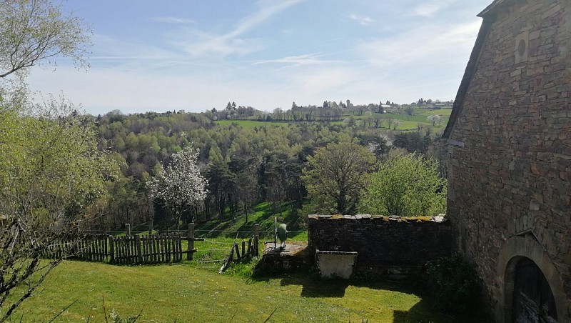 vue_7