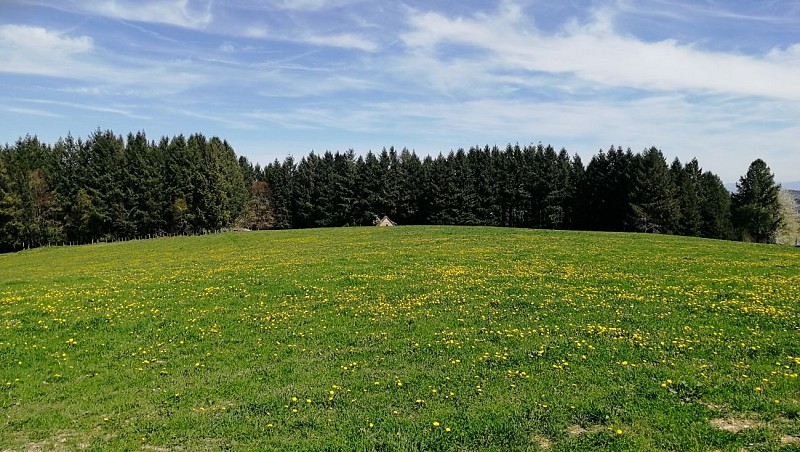 vue_9