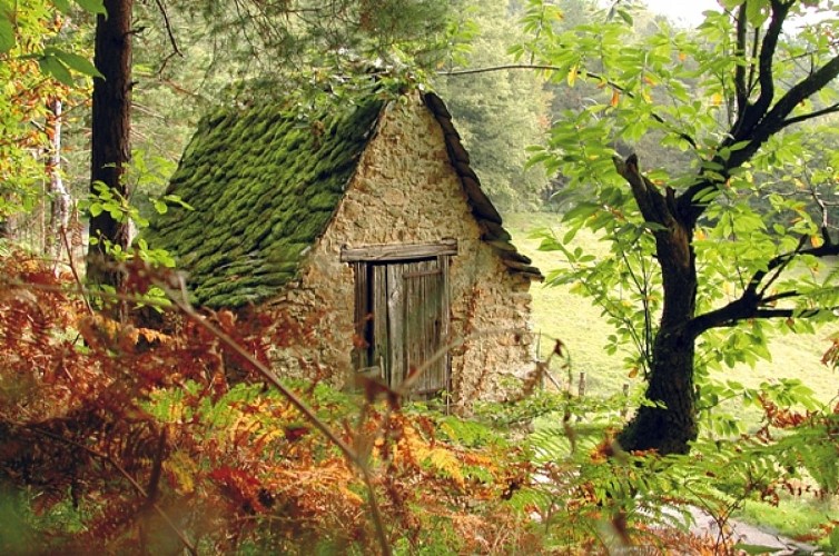 Cabane de vigne_3