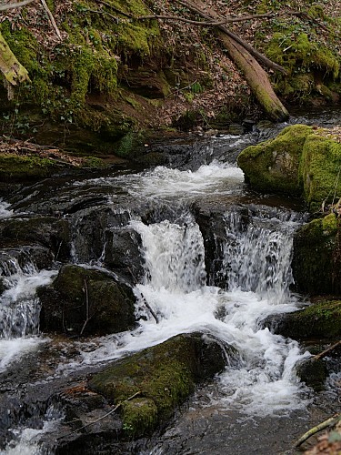 cascade_2