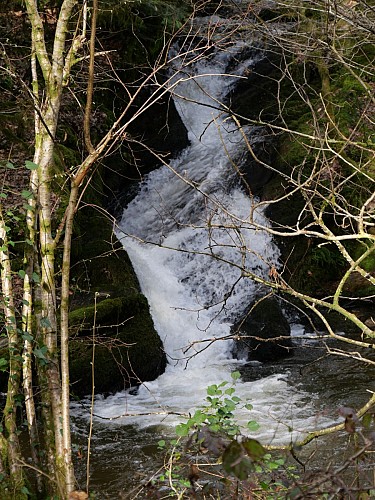 cascade_5