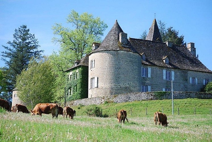 67519-chateau-rieu_3