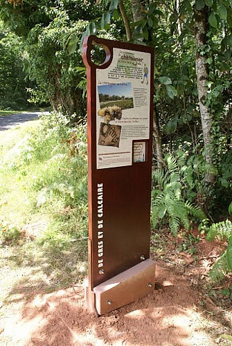 Panneau grès et calcaire_7
