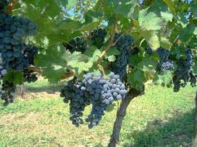 images (1)_3