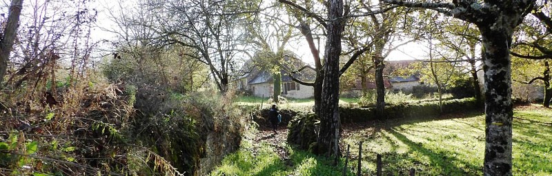 IMGP2669_2