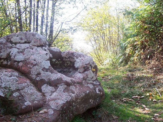 Collonges chaise du diable 3 - VTT_1