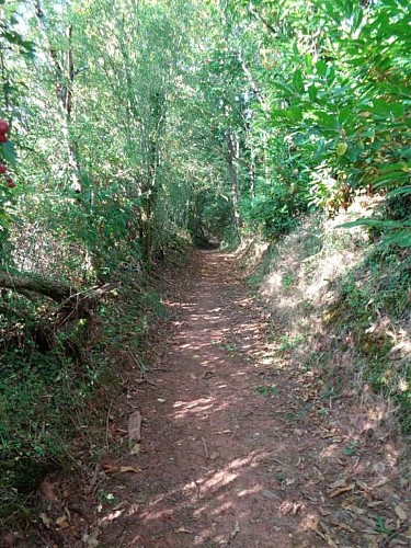 Collonges chaise du diable 2 - VTT_3