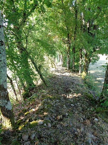 Ligneyrac - Tour de la vicomté 2 - VTT_2