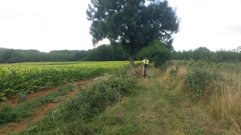 Chauffour - Confins Quercy 5 - VTT_5