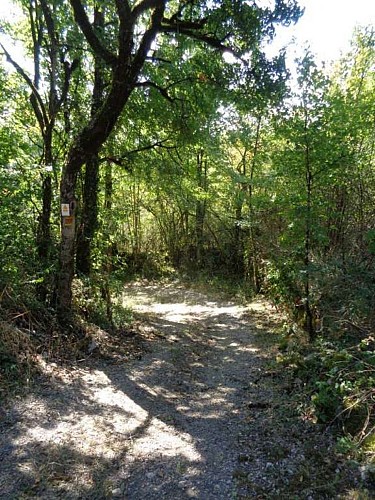 St Julien - Maumont Sourdoire 1 - VTT_1