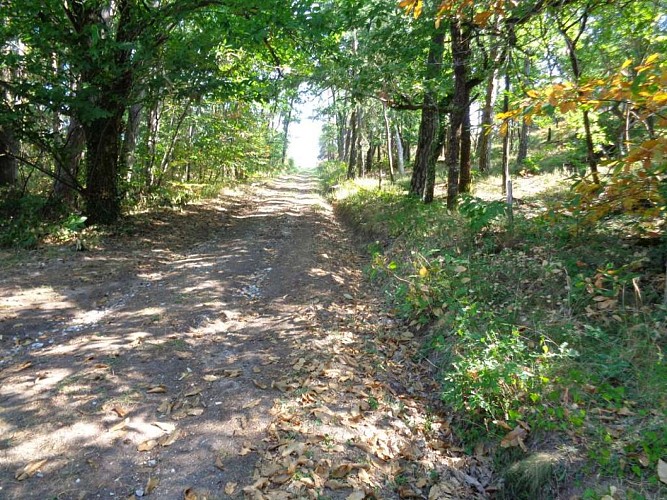 St Julien - Maumont Sourdoire 2 - VTT_2