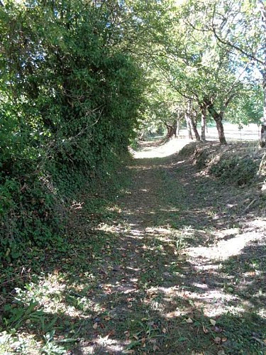 St Julien - Maumont Sourdoire 4 - VTT_4