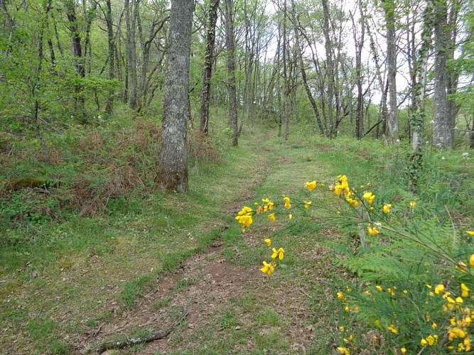 Noailhac - Chemins retrouvés 2 - VTT_2