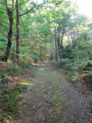 Lostanges - Balcon pays de brive 3 - VTT_3