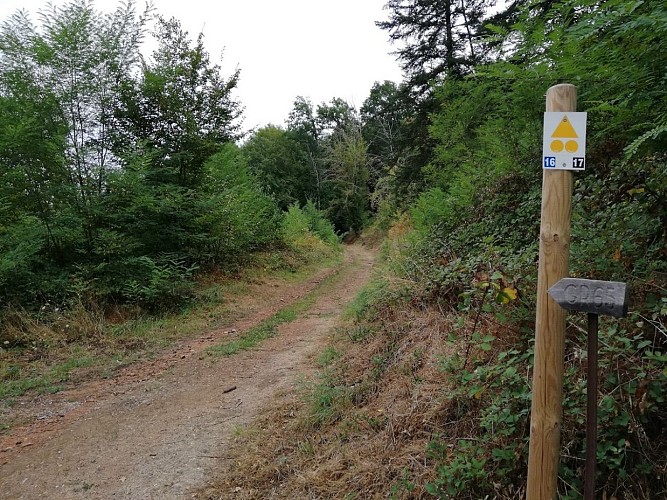Altillac - Château du Doux 5 - VTT_5