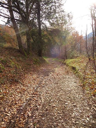 Altillac - A travers les GR 2 - VTT_2