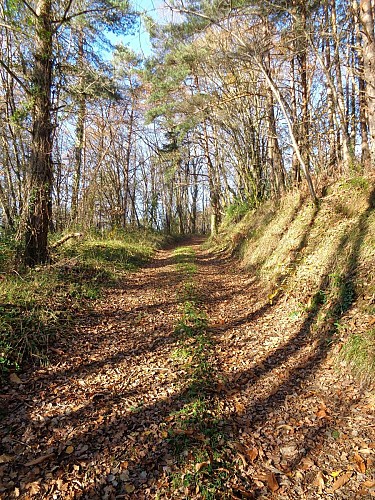 Puy d'Arnac - cafoulière 1 - VTT_1