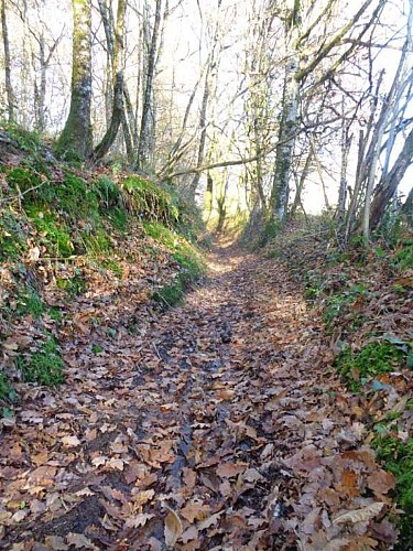 Beaulieu à Queyssac 2 - VTT_2