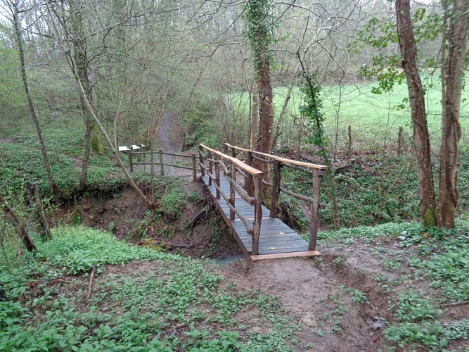 Beaulieu à Queyssac 4 - VTT_3