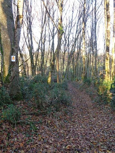 Beaulieu à Queyssac 3 - VTT_5
