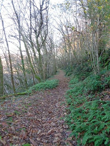 Beaulieu à Queyssac 6 - VTT_6