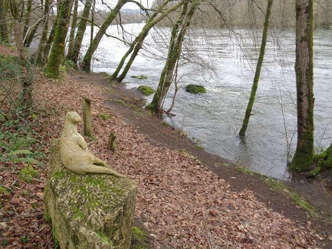Altillac - Bords Dordogne 2 - VTT_3