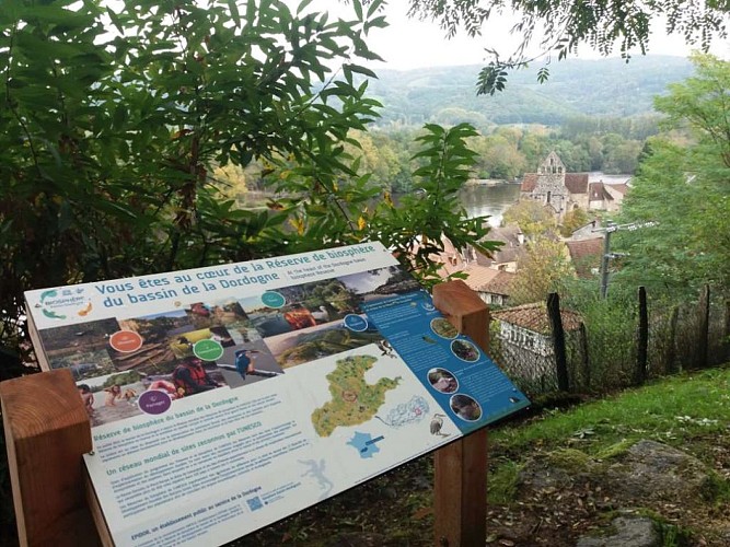 Altillac - Bords Dordogne 4- VTT_4