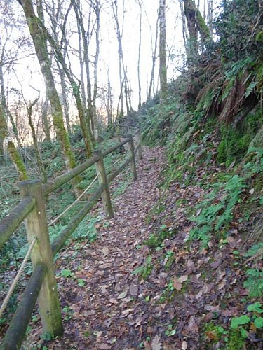 Altillac - Bords Dordogne 5- VTT_5