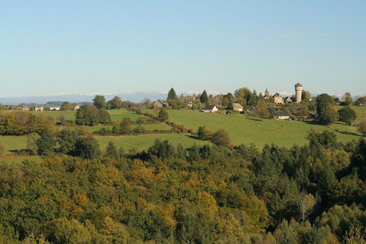 vue sur mont du cantal _1