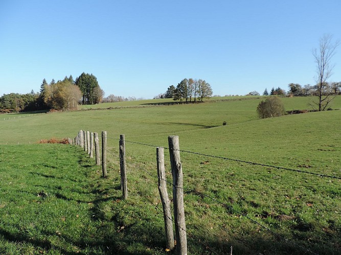 Argentat Moulinots - paisible environnement_3
