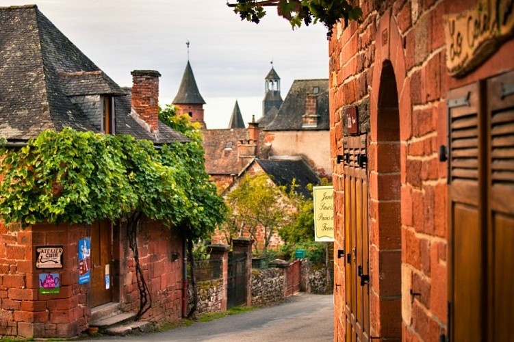 CRT-Limousin-1316 Collonges_2