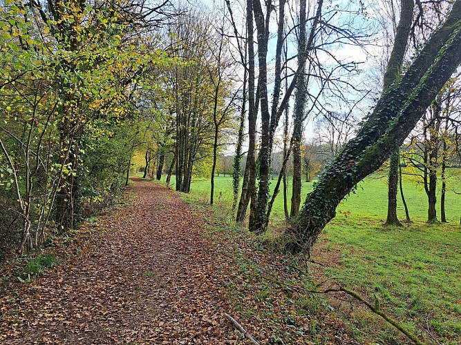 en chemin_4