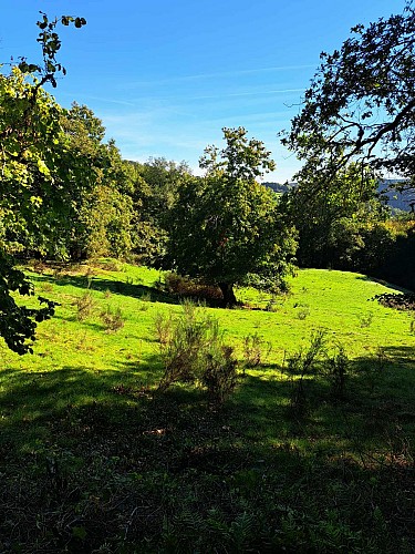 st Cirgues en chemin (8)_4