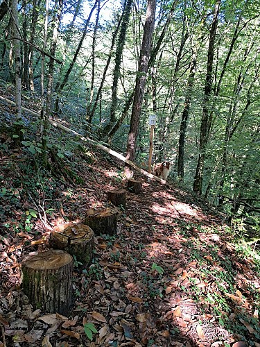 st Cirgues en chemin (11)_5