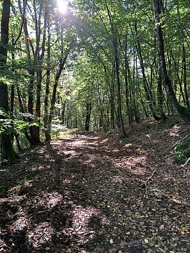 st Cirgues en chemin (5)_9
