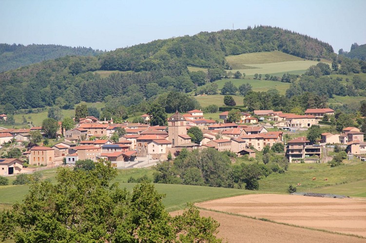 Circuit VTT 113 - En lisière des communes_Longessaigne