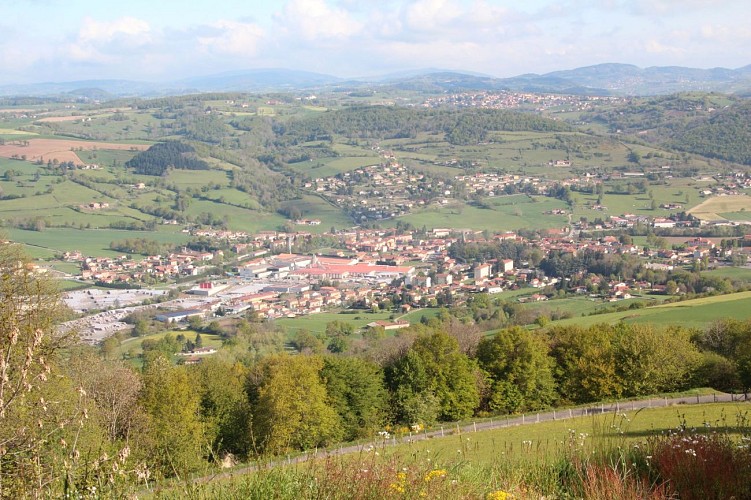 Circuit VTT n°123 bleu : Les rives d'Orgeoles