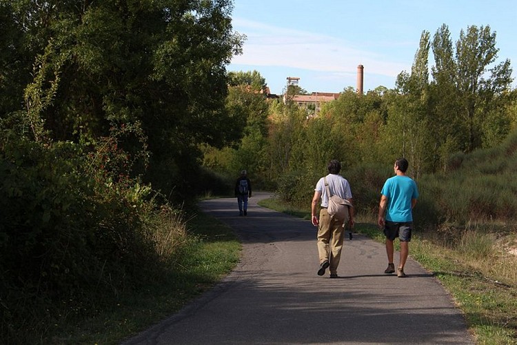 Promenade sur les chemins autour du Musée-mine départemental
