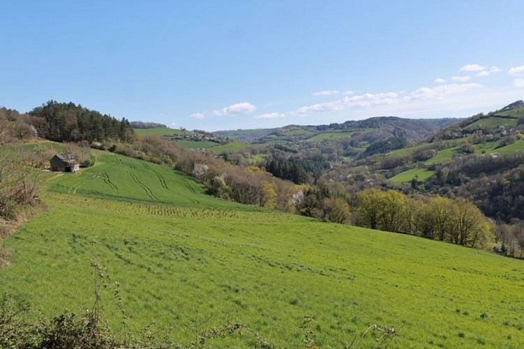 Paysage de la vallée du Tarn