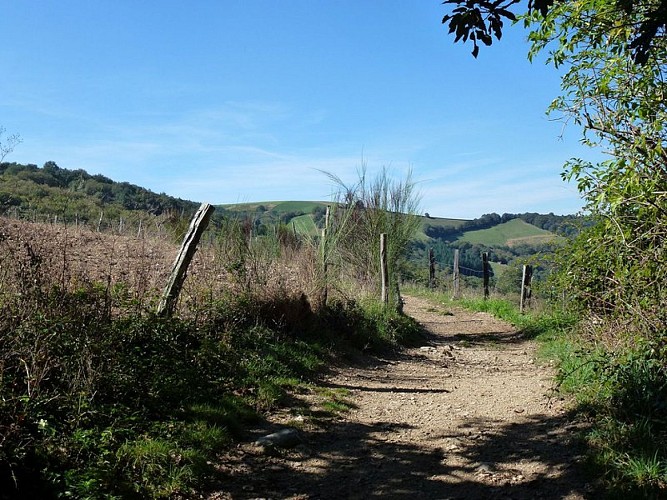 Sentier