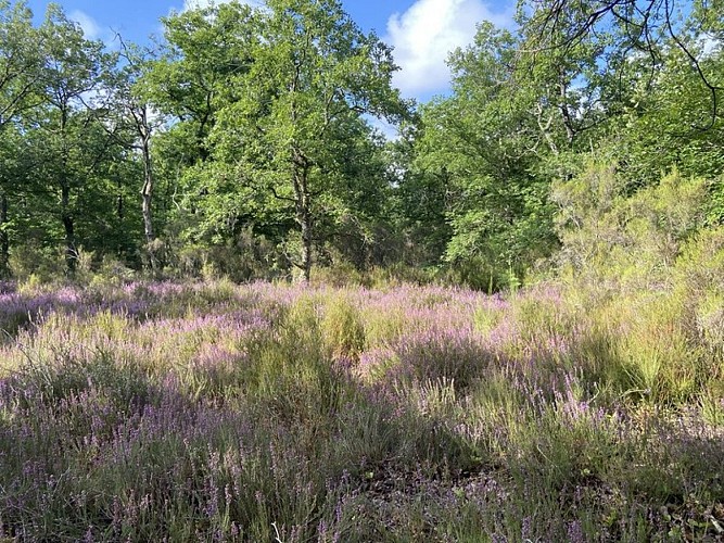 Giroussens - Boucle des Potiers