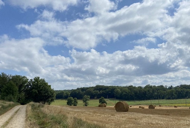 Giroussens - Boucle des Potiers