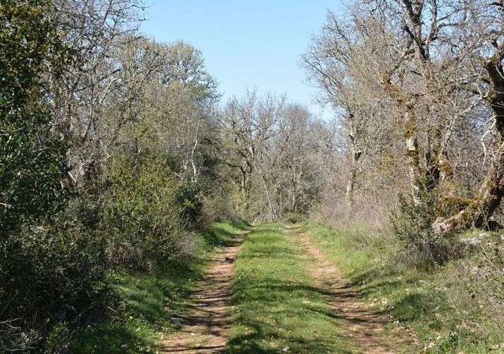 Sur le chemin des maquisards