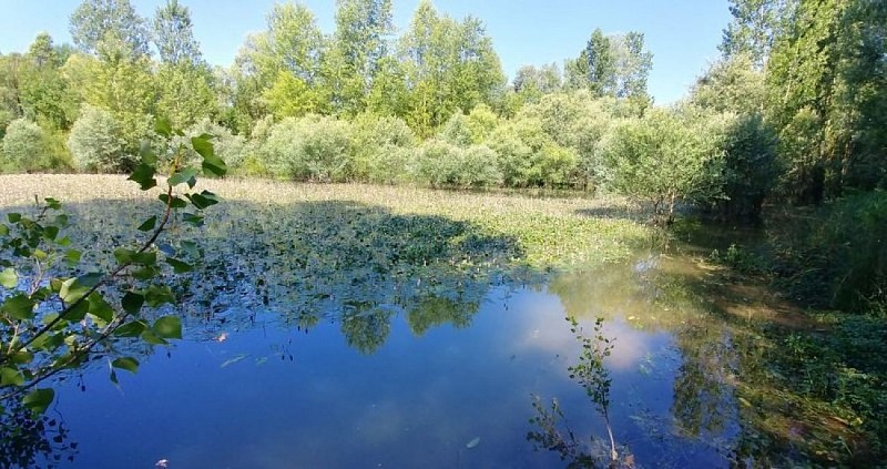 Hautes eaux