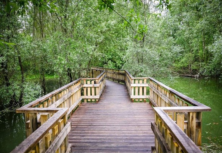 Passerelle de Fourogue