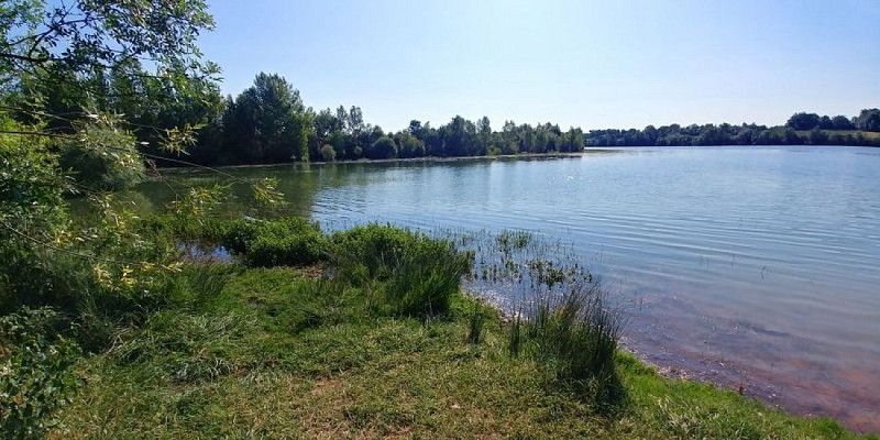 Plan d'eau au printemps