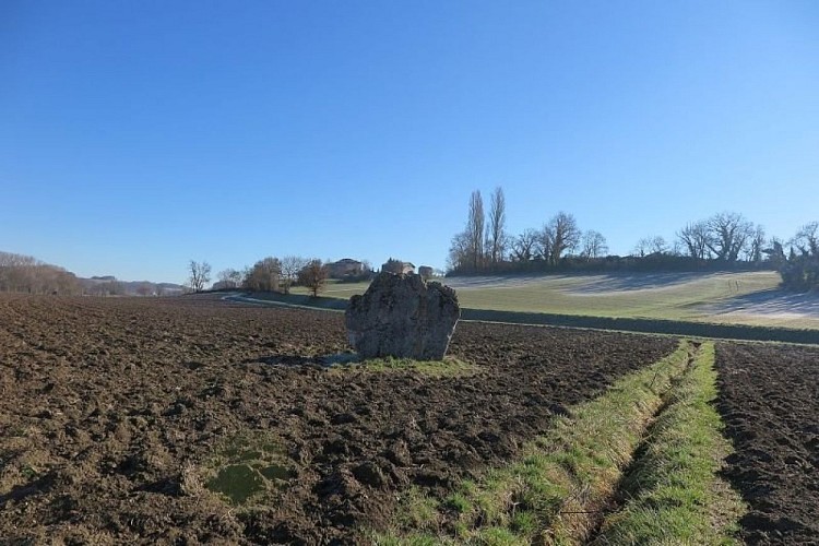Menhir de Ste Carissime